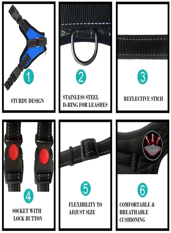 KittuPet Dog Harness, Adjustable Dog Body Belt for Large Small Medium Dogs and cat Rabbit All Breeds Animal (Medium, Blue) - Image 5